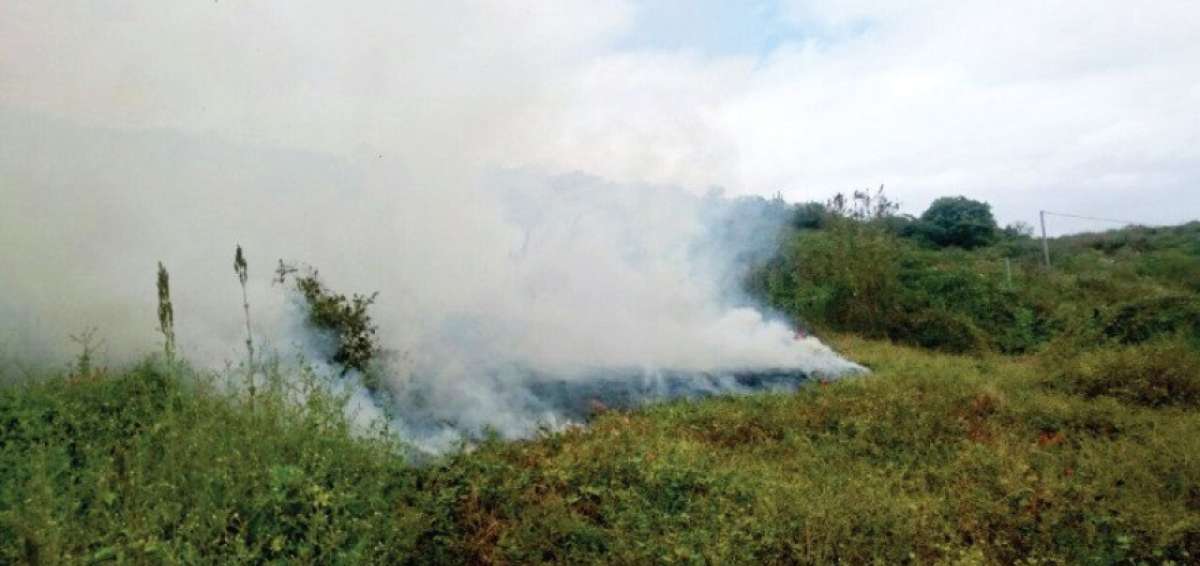 Incendio forestal fue controlado en La Tomatera, Portoviejo