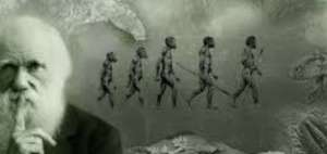 Proponen incluir el "darwinismo molecular" en la teor&iacute;a de la evoluci&oacute;n