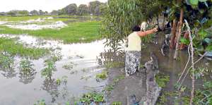 En los recintos Boca de &Ntilde;auza de Jujan las familias se trasladan en canoas o balsas. FOTO: MIGUEL CASTRO
