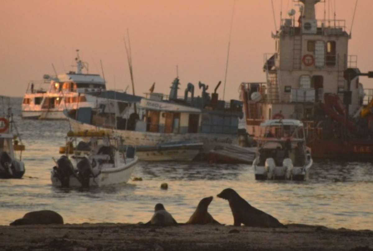 &iquest;La prueba PCR es un requisito para entrar a Gal&aacute;pagos?