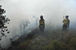 Hasta el momento, 90 hect&aacute;reas se han afectado con los incendios.  En el cerro Ilal&oacute; se consumieron 20 hect&aacute;reas. Foto: Miguel &Aacute;ngel Jim&eacute;nez/ EL TEL&Eacute;GRAFO