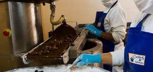 Alcald&iacute;a quite&ntilde;a incumple con emprendedores