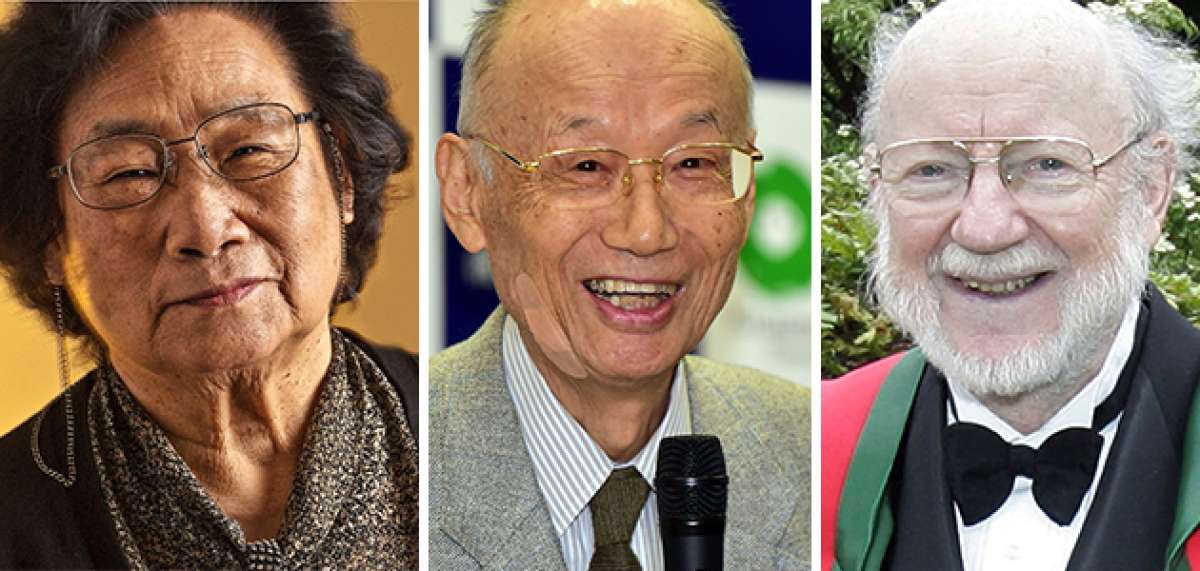 Las terapias parasitarias y la lucha contra la malaria fueron reconocidas con el Nobel 