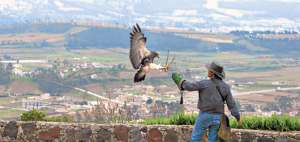 El Parque C&oacute;ndor es un zool&oacute;gico y centro de rescate de aves rapaces. Cuidar de estas y otras especies no es una tarea sencilla, pero s&iacute; necesaria. Foto: Tomada de www.posadaquinde.com