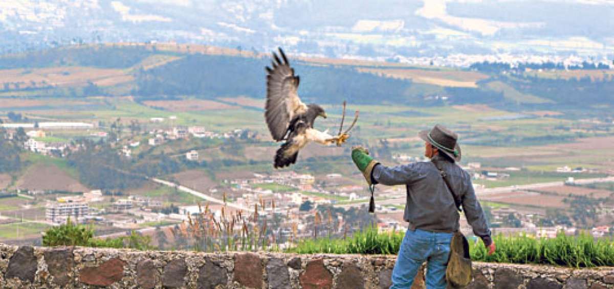 El Parque C&oacute;ndor es un zool&oacute;gico y centro de rescate de aves rapaces. Cuidar de estas y otras especies no es una tarea sencilla, pero s&iacute; necesaria. Foto: Tomada de www.posadaquinde.com
