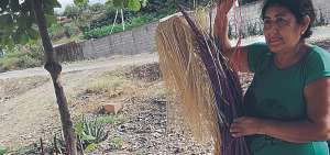 Los artesanos requieren un d&iacute;a y medio de trabajo para confeccionar un sombrero de paja toquilla. Adem&aacute;s, deben invertir en el acabado.