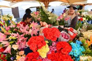 La plaza en la que se exhiben decenas de especies flor&iacute;colas es uno de los lugares recomendados por la revista internacional. Foto: Jos&eacute; Luis LLivisaca│El Tel&eacute;grafo