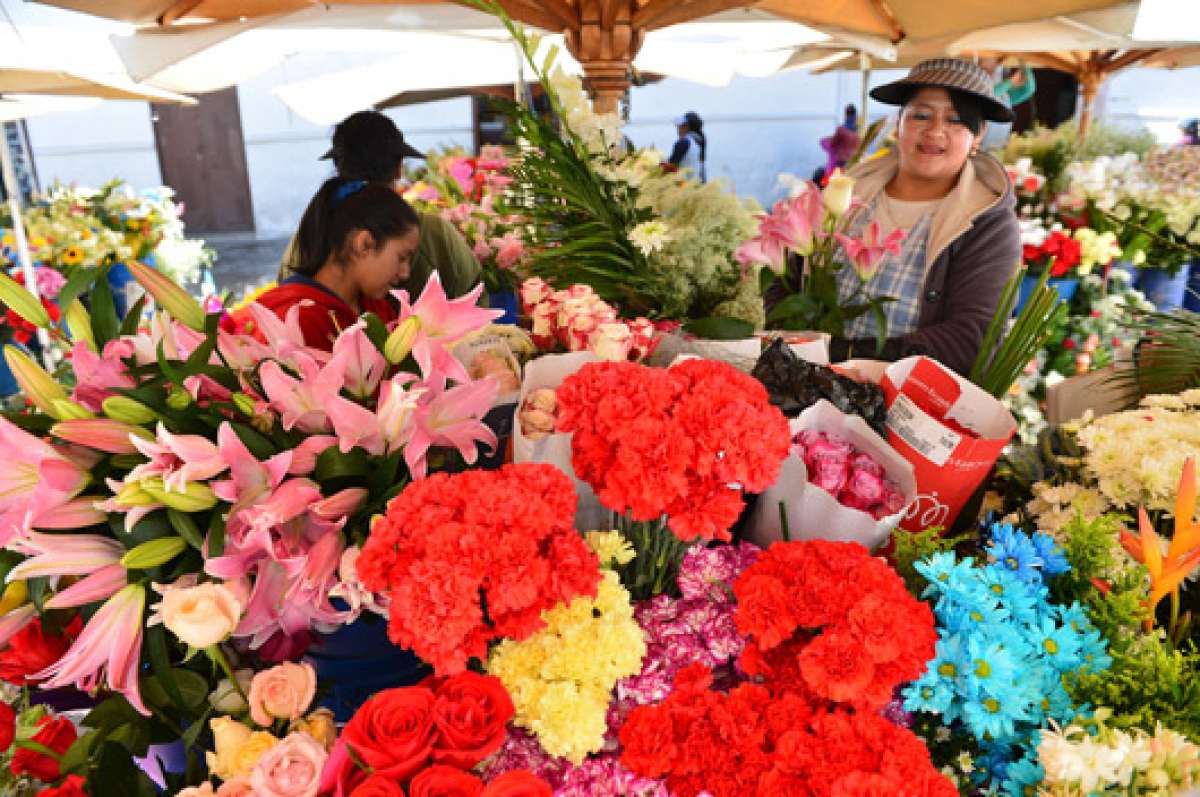 La plaza en la que se exhiben decenas de especies flor&iacute;colas es uno de los lugares recomendados por la revista internacional. Foto: Jos&eacute; Luis LLivisaca│El Tel&eacute;grafo