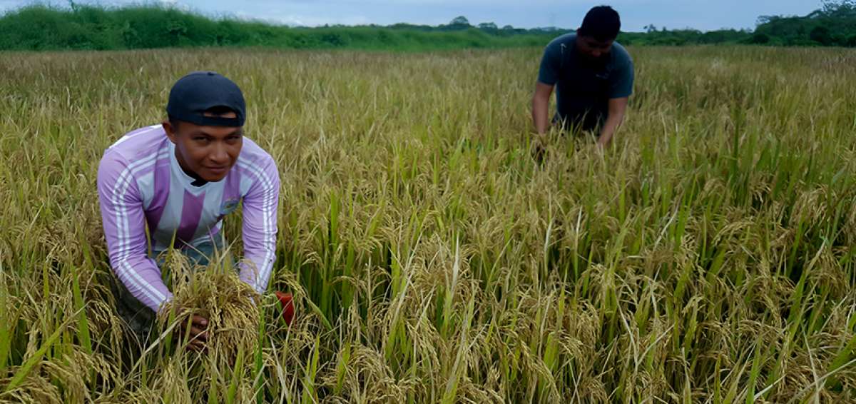 Los planes para el sector productivo incluyen tasas de inter&eacute;s preferenciales en cr&eacute;ditos para sus actividades.