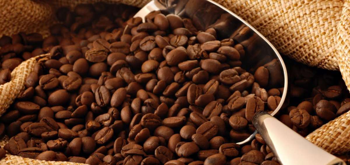 Foro analiza desaf&iacute;os de la caficultura