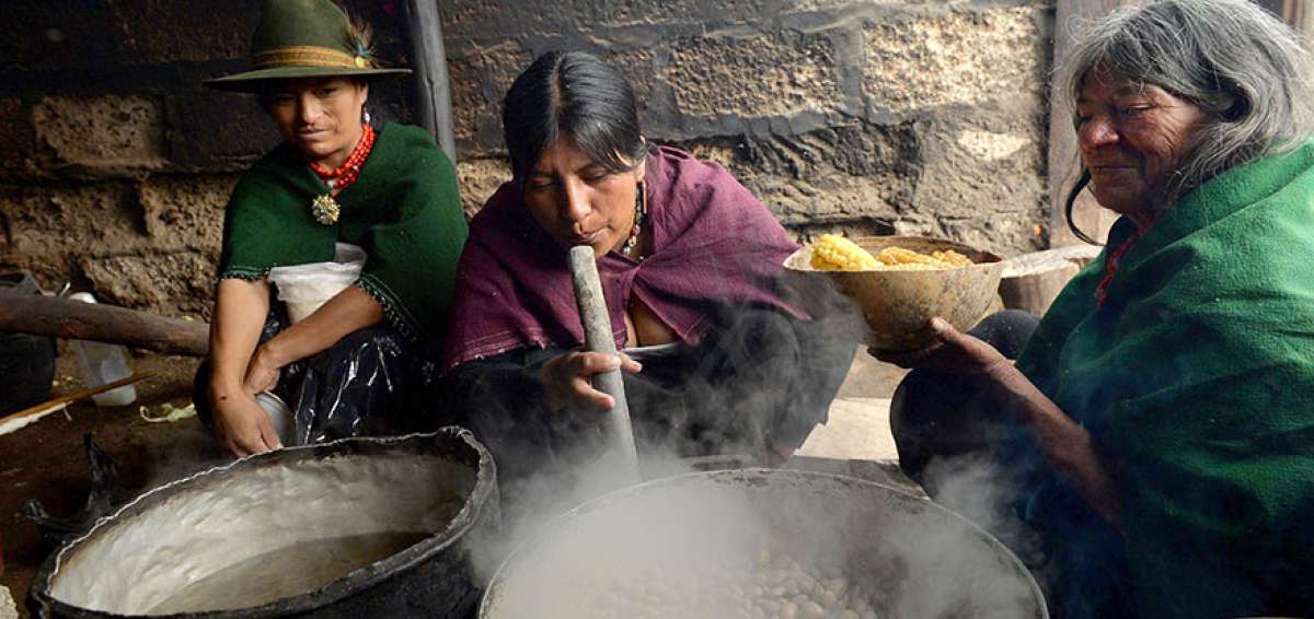 Las ancianas matronas de pueblos ind&iacute;genas, como salasacas y chibuleos de Tungurahua, son las jefas del fog&oacute;n. Ellas se encargan de cosechar los ingredientes, lavarlos y preparar deliciosos platillos para toda la familia. 