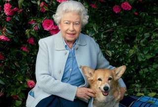 Perros corgis alcanzan precios récord en el Reino Unido tras la muerte la reina Isabel II