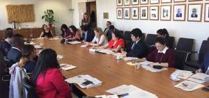 Ecuador presenta Plan de Trabajo 2017 del Grupo Insarag-Am&eacute;ricas ante la ONU