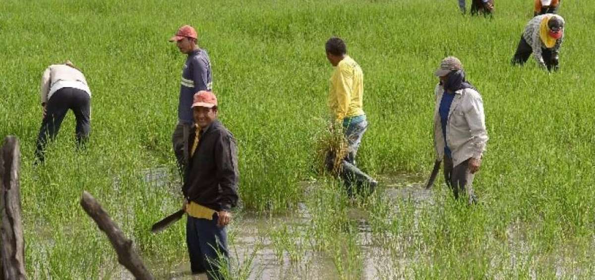 En marzo de 2017 la tasa de desempleo alcanz&oacute; el 4,4% a nivel nacional