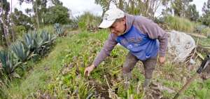 Las pol&iacute;ticas aplicadas al sector agroproductivo buscan saldar una deuda que el Gobierno ten&iacute;a pendiente con los integrantes de este sector.