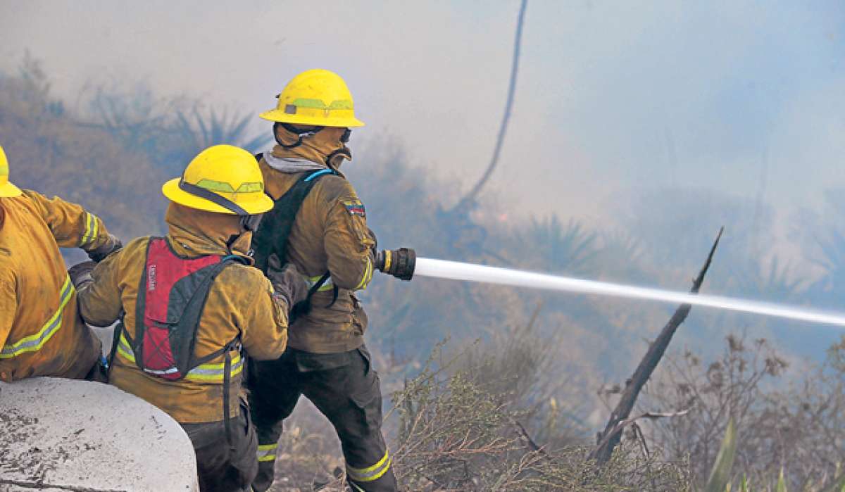 Los bomberos de Quito han combatido el incendio forestal de Puembo hace 6 d&iacute;as. Por momentos logran controlarlo, pero luego se reaviva. Foto: &Aacute;lvaro P&eacute;rez