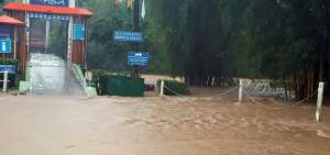as precipitaciones provocaron el crecimiento y desbordamiento de los r&iacute;os Puyo y Pambay.