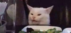 Smudge, el gato &ldquo;vegetariano&rdquo; que atrapa el inter&eacute;s de los cibernautas