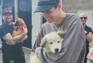 El cachorro “Quito” fue adoptado por un miembro del equipo de Shakira.