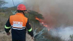 Incendio forestal en el sector de Puembo 