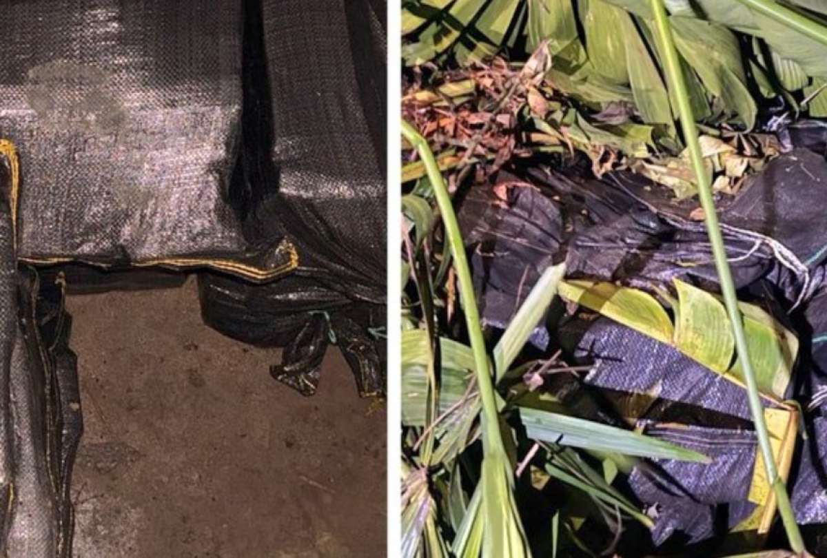 Una tonelada de cocaína fue decomisada en un operativo policial.
