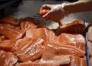 La decisi&oacute;n de la FDA lleg&oacute; tras a&ntilde;os de controversia sobre el pescado. Foto: AFP