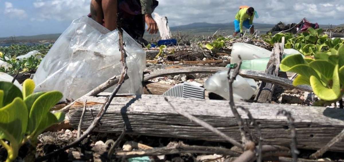 La acumulaci&oacute;n de pl&aacute;sticos en las Islas Encantadas genera un da&ntilde;o ambiental. 