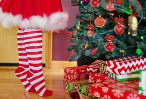 Familia encuentra un búho habitando su árbol de Navidad