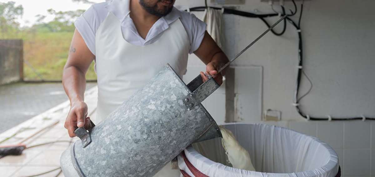 En Ecuador existen unos 300.000 productores que generan 5&rsquo;135.405 litros de leche cruda. La industria crea 1,5 millones de empleos.