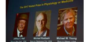 Descubridores del reloj interno del cuerpo ganan el Nobel de Medicina