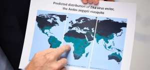 La OMS dijo ayer en Ginebra que el mosquito vector del zika, el Aedes aegypti, se encuentra en 34 pa&iacute;ses. Los m&aacute;s afectados: en Am&eacute;rica Latina y el Caribe.