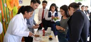 Estudiantes de la Espol presentan una opci&oacute;n para incentivar el consumo de pimiento y apio en ni&ntilde;os a trav&eacute;s de helados.