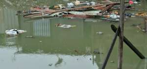 Una revisi&oacute;n del MAE determin&oacute; que 29 de 60 puntos del Estero no cumplen con el criterio de calidad de agua.