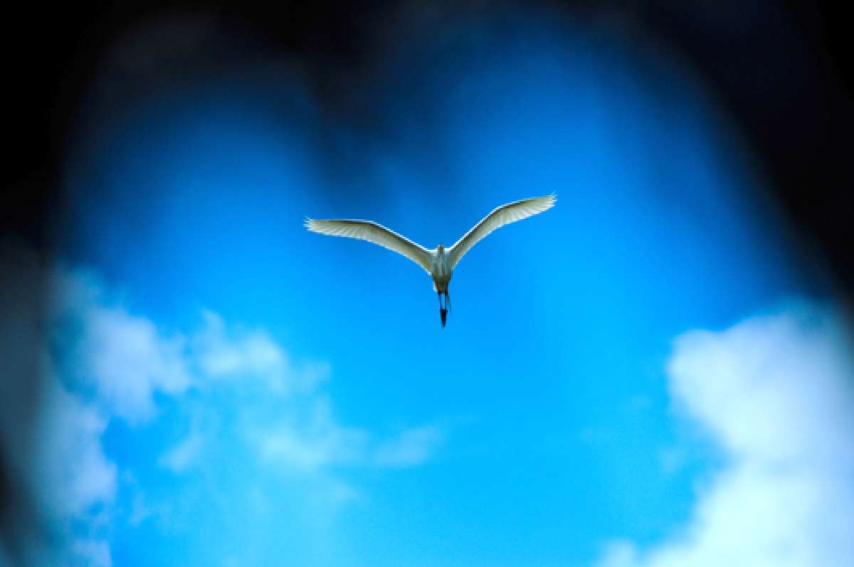 El humedal La Segua es el hogar de 158 especies como flamencos gaviotas de Alaska, patos estadounidenses y m&aacute;s.