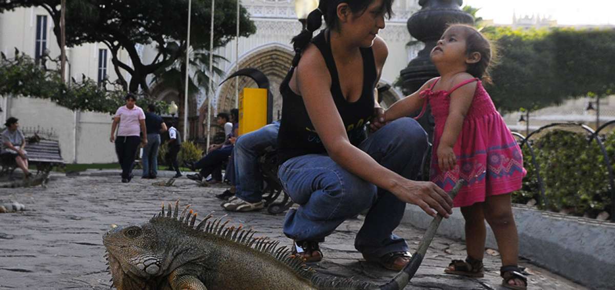 Todas las mujeres madres y trabajadoras merecen un reconocimiento