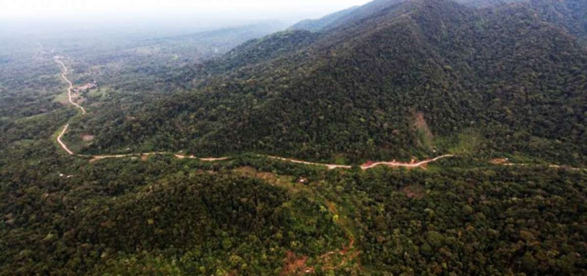 La carretera Macuma-Taisha tiene una extensi&oacute;n de m&aacute;s de 71 km. Seg&uacute;n el Ministerio del Ambiente, esta obra afect&oacute; la flora y fauna en m&aacute;s de 42 km.