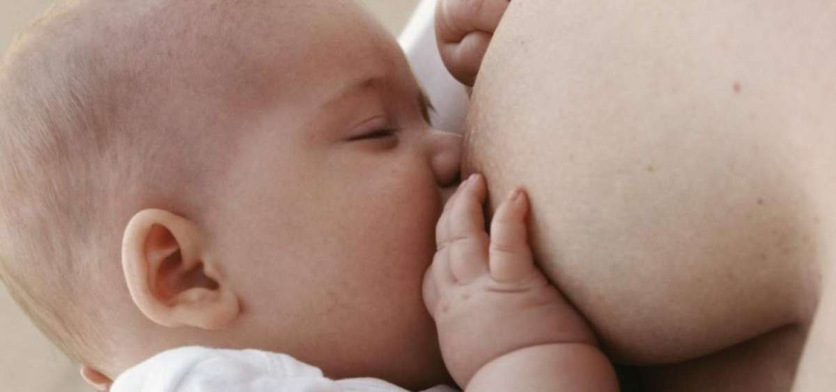 OMS: Las mujeres contaminadas con Zika pueden amamantar