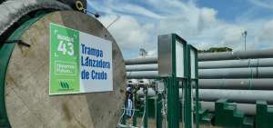 Docentes examinan el cuidado de los ecosistemas en dos campos petroleros