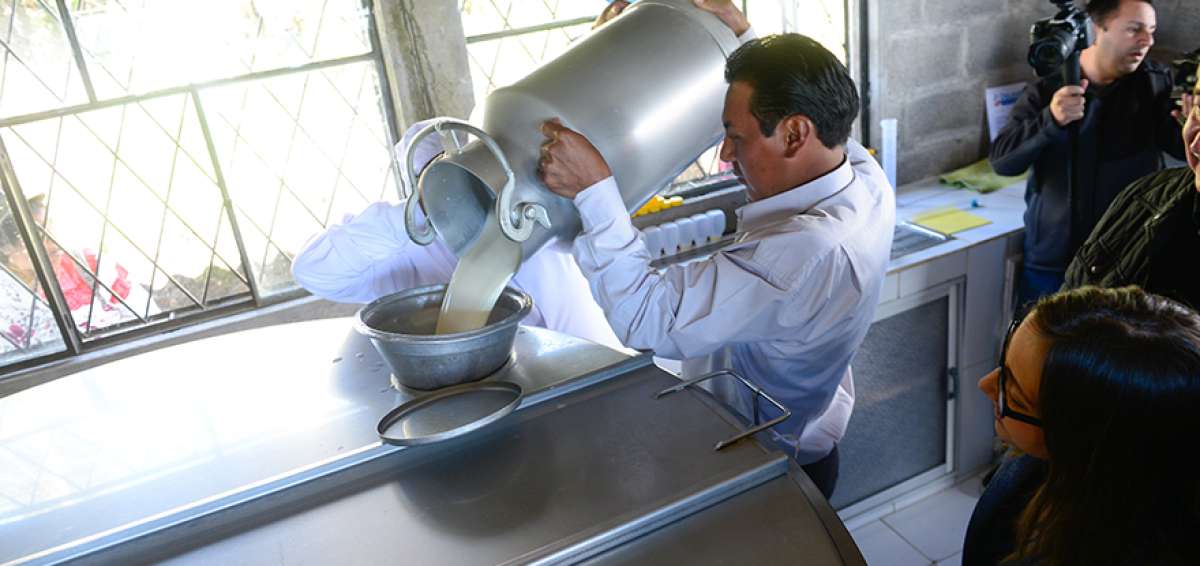En los &uacute;ltimos 10 a&ntilde;os la producci&oacute;n de leche se increment&oacute; el 18,5%. Actualmente se producen 5,3 millones de litros diarios.