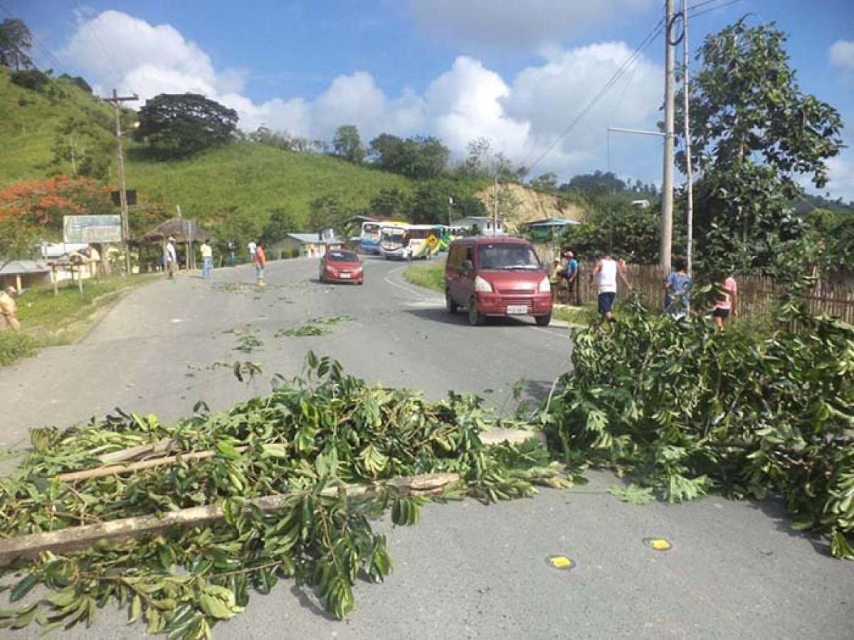 FOTO: Luis Freire / El Tel&eacute;grafo