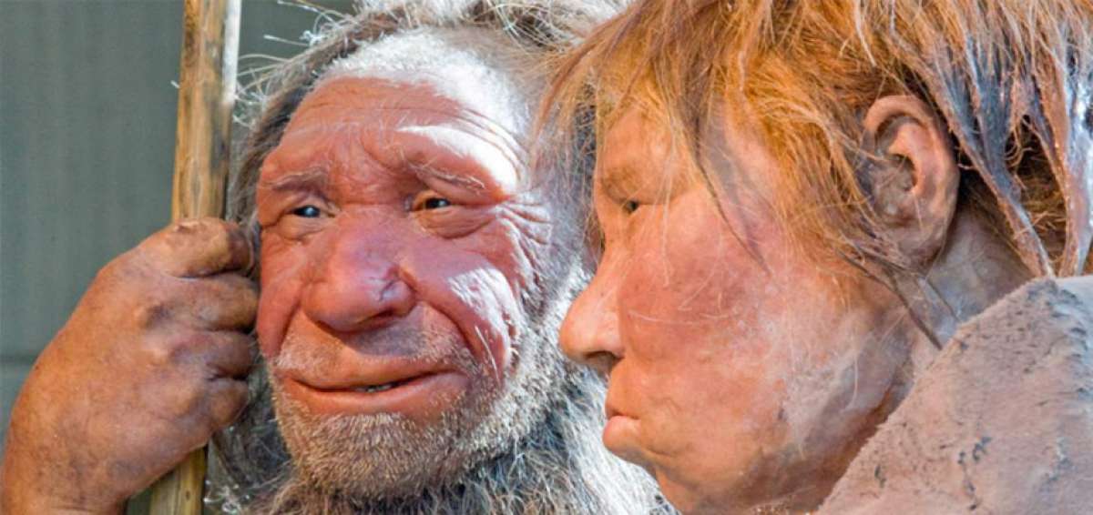 Neandertales: Un estudio cambia la historia y la teor&iacute;a de que no superaban los mil individuos