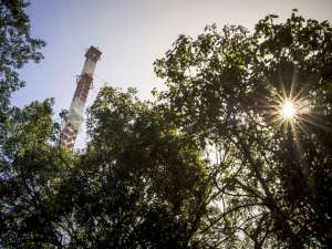 Uno de los objetivos de la gran torre que instal&oacute; Brasil es conocer c&oacute;mo influye el cambio clim&aacute;tico en la selva. AFP