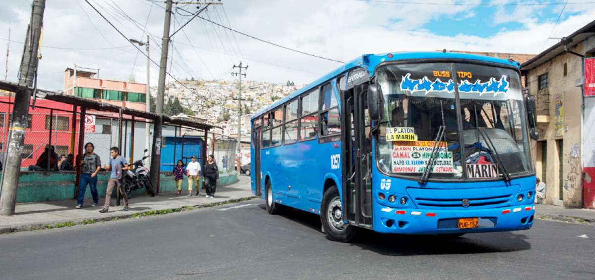 Camal-Hip&oacute;dromo, la ruta que lleva a ninguna parte