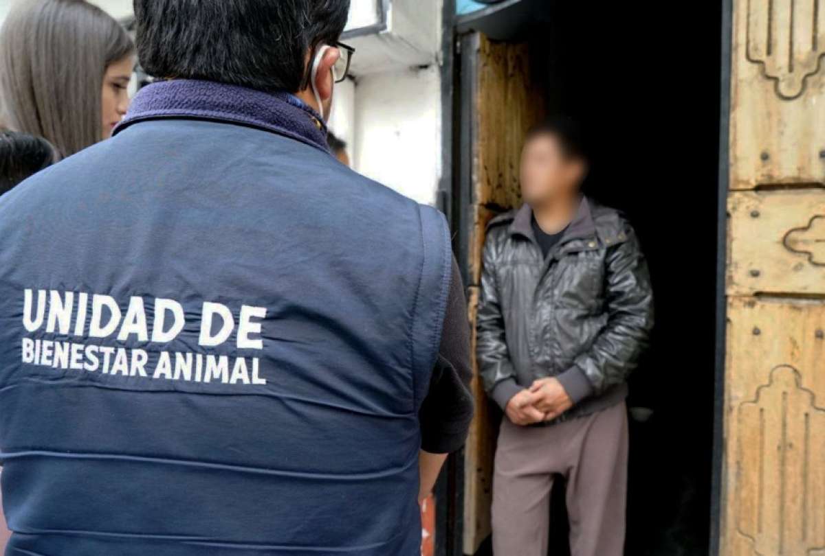 USD 4.250 de multa a quien provoque daño o sufrimiento a animales