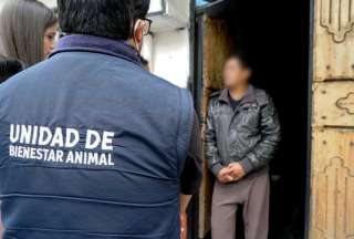 USD 4.250 de multa a quien provoque daño o sufrimiento a animales