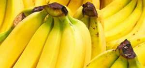 Ecuador exige en la OMC anular restricciones de Brasil al banano nacional