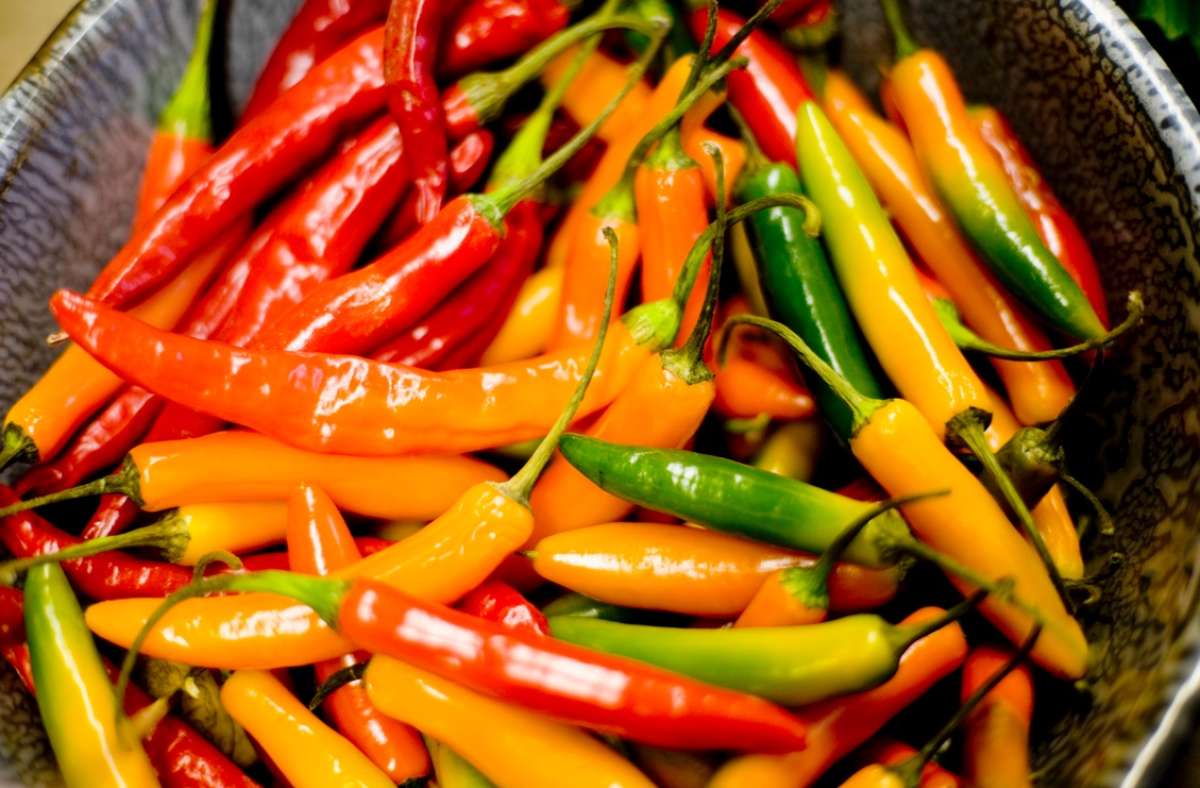 La comida picante prolonga la vida, seg&uacute;n estudio chino 