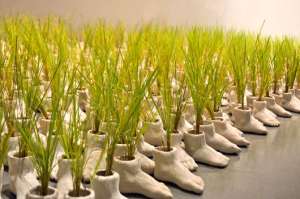 La obra de Noem&iacute; Miranda (sin t&iacute;tulo) est&aacute; compuesta por m&aacute;s de 800 peque&ntilde;as esculturas, que aluden directamente a la antagon&iacute;a que existe entre la civilizaci&oacute;n y la naturaleza. Fotos: Cortes&iacute;a│ITAE