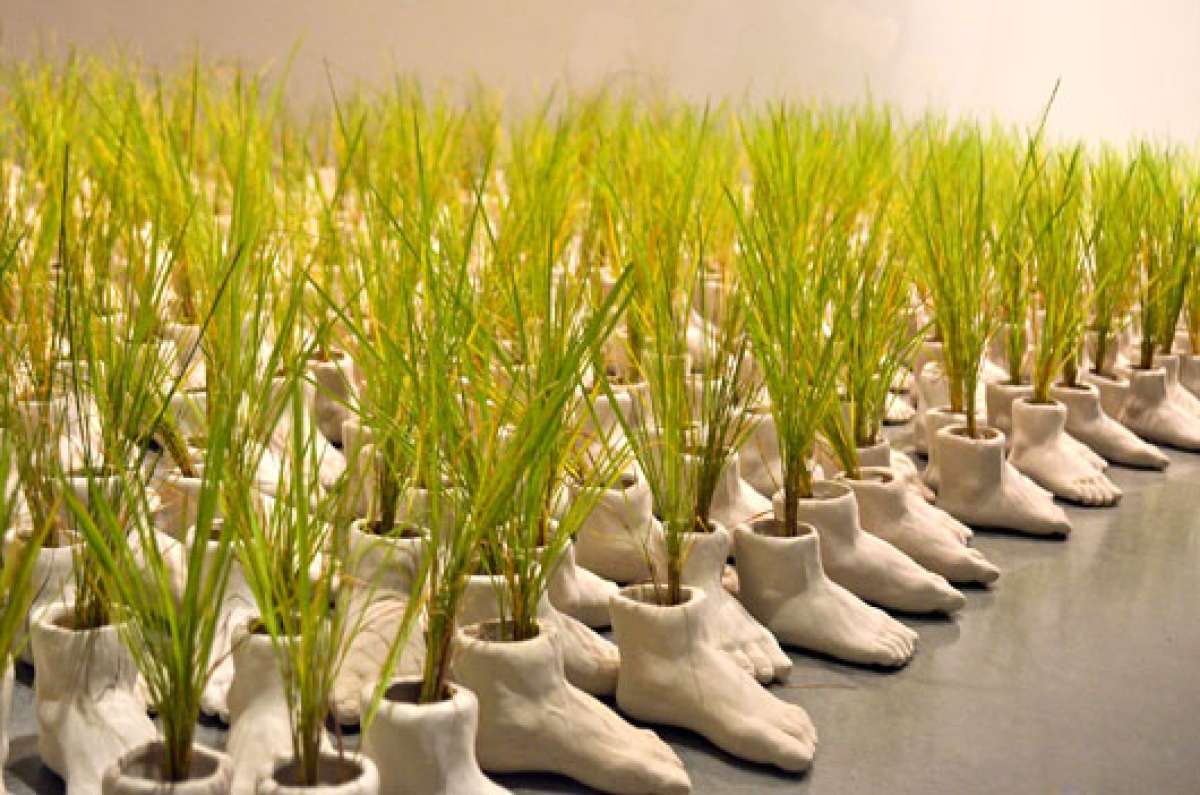 La obra de Noem&iacute; Miranda (sin t&iacute;tulo) est&aacute; compuesta por m&aacute;s de 800 peque&ntilde;as esculturas, que aluden directamente a la antagon&iacute;a que existe entre la civilizaci&oacute;n y la naturaleza. Fotos: Cortes&iacute;a│ITAE
