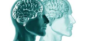 Donar un trozo del cerebro ya es posible para un ser humano vivo